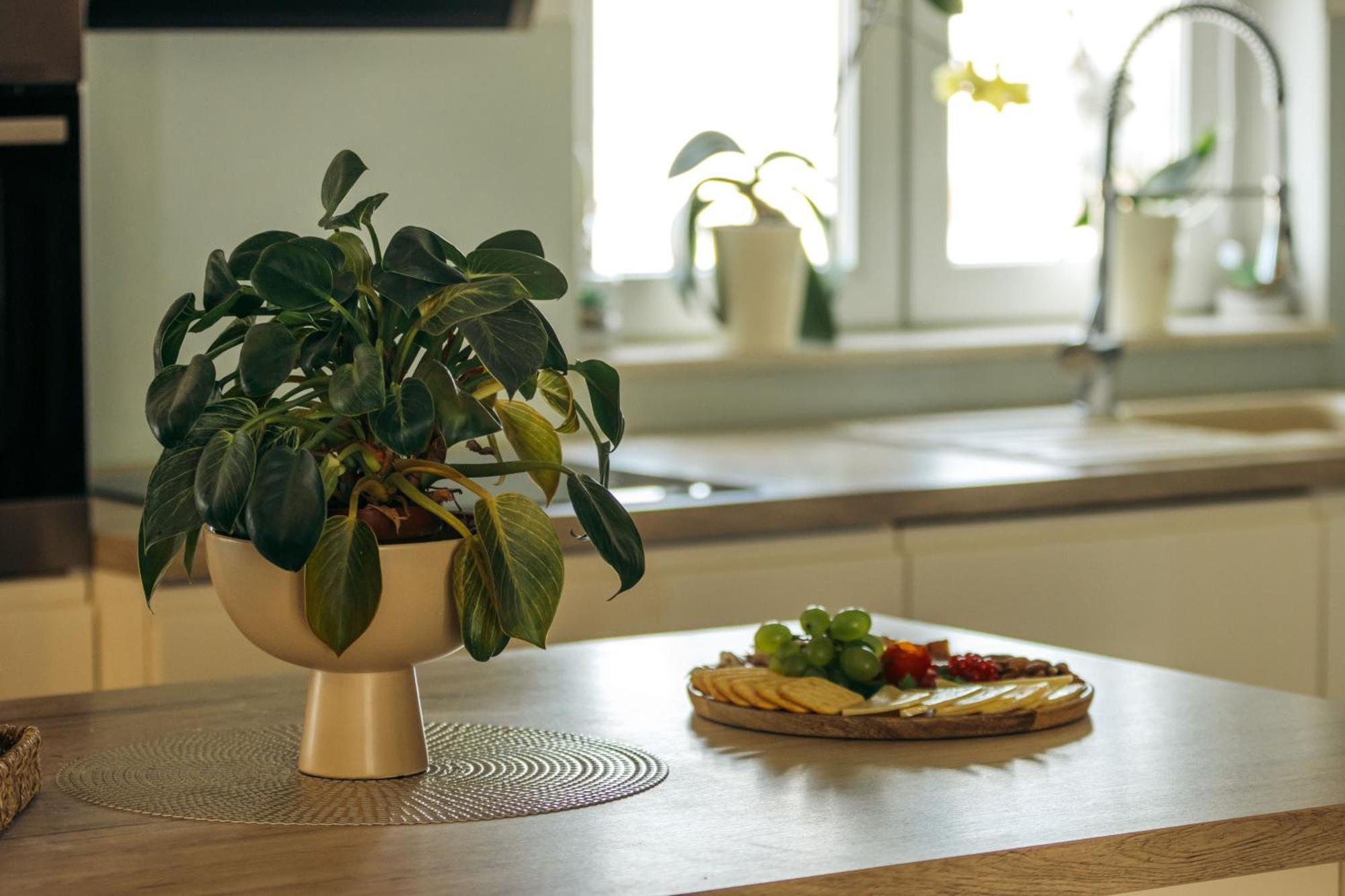 Krajnovic Appartement Biograd Na Moru